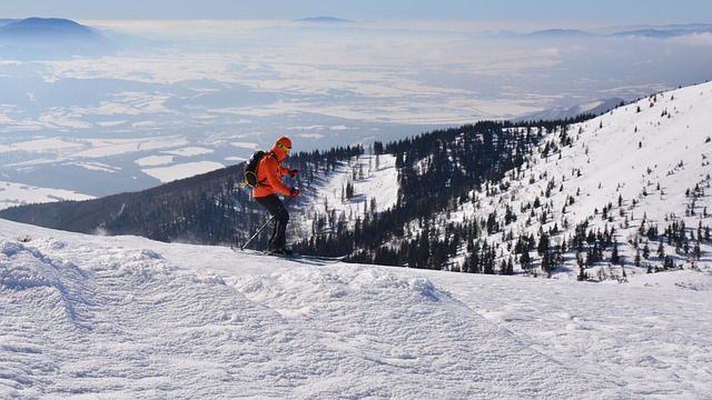 skialpové lyže